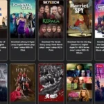 Bollywood| Hollywood| Web Series Download 🖇️🔗🎦