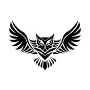 Wise Affiliate